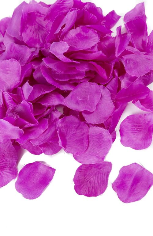 Pétales De Fleurs Violet 244 pcs