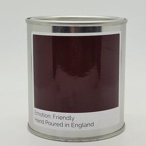 Friendly Emotions 200g Scented Tin Candle