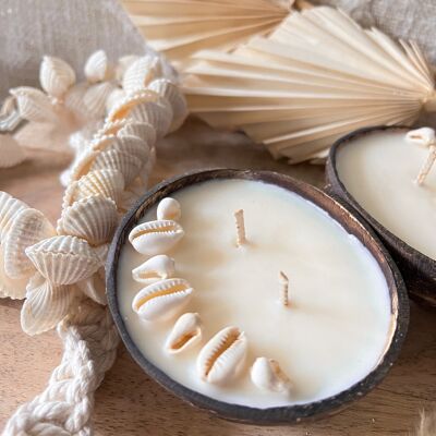 Small Coconut & Seashell Candle Gourmet Vanilla Scent