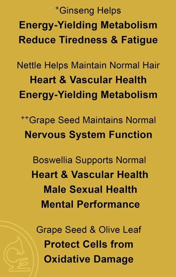 Hommes 2 - Santé sexuelle et cardiovasculaire + Performance mentale 4