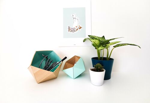 Boîtes origami érable / bleu menthe