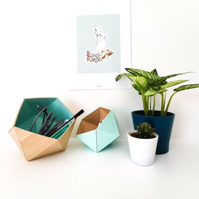 Cajas de origami de arce / azul menta