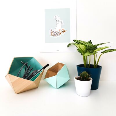 Scatole origami acero / blu menta