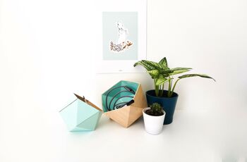 Boîtes origami érable / bleu menthe 2
