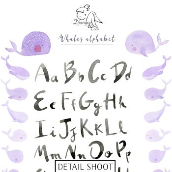 L'alphabet des baleines violettes - 30x40 3