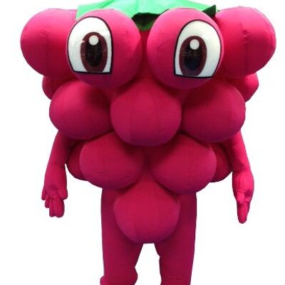 Costume de mascotte personnalisable de grappe de raisin géante.