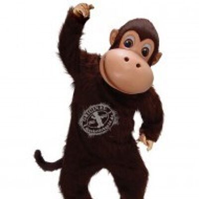Costume de mascotte personnalisable de singe, de chimpanzé, marron.