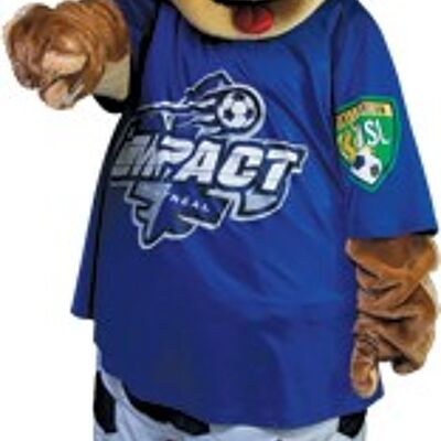 Costume de mascotte personnalisable de chien marron, de supporter de foot.