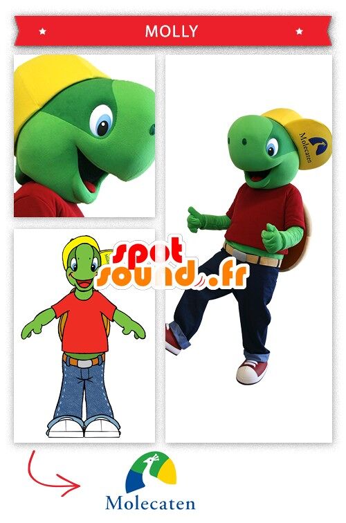 Costume de mascotte personnalisable de Franklin, la célèbre tortue de dessin animé.