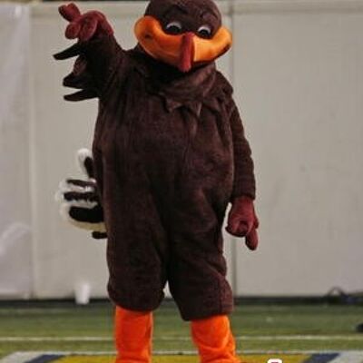 Costume de mascotte personnalisable d'oiseau marron et orange.
