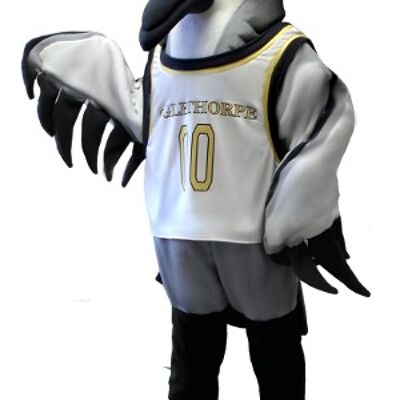 Costume de mascotte personnalisable d'oiseau marin, gris, blanc et noir.
