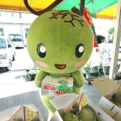Costume de mascotte personnalisable de mangue verte géante.