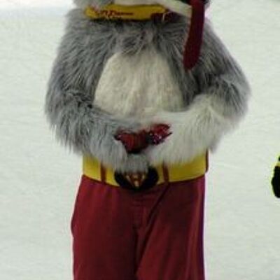 Costume de mascotte personnalisable de chien, de loup, gris et blanc.