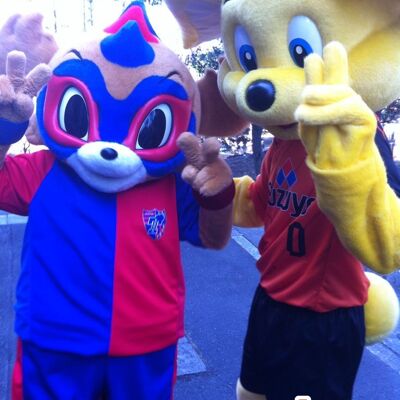 2 Costume de mascotte personnalisable s : un ours jaune et un animal masqué, bleu et rouge.