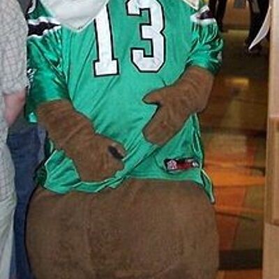 Costume de mascotte personnalisable d'ours brun avec un maillot de sport vert et blanc.