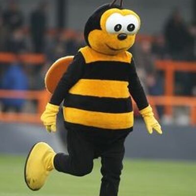 Costume de mascotte personnalisable d'abeille jaune et noire