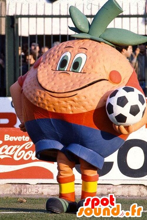 Costume de mascotte personnalisable d'orange géante.