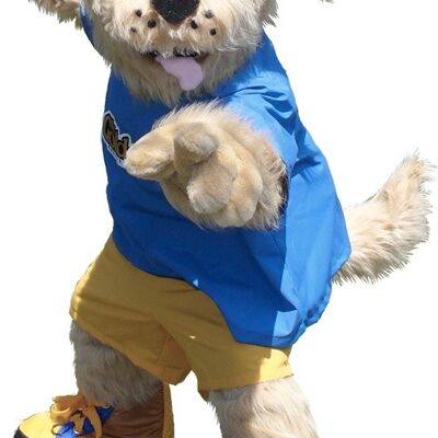 Costume de mascotte personnalisable de chien beige en tenue jaune et bleue.