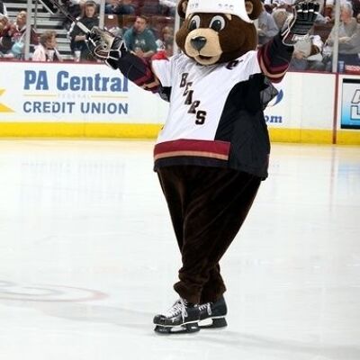 Costume de mascotte personnalisable d'ours marron, en tenue de hockey.