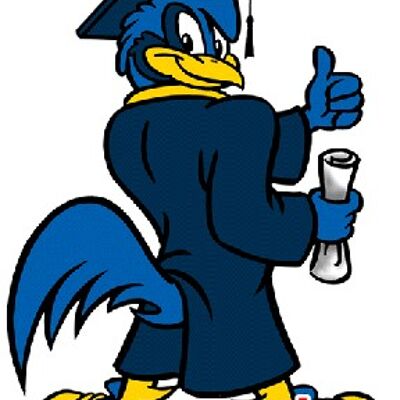 Costume de mascotte personnalisable d'oiseau bleu, de nouveau diplômé.