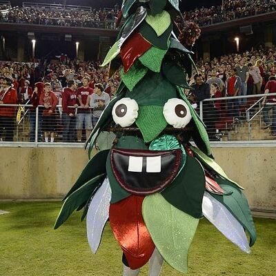 Costume de mascotte personnalisable de sapin de Noël, vert et rouge.