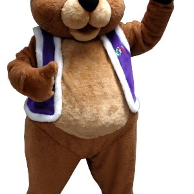 Costume de mascotte personnalisable d'ours brun habillé en roi.