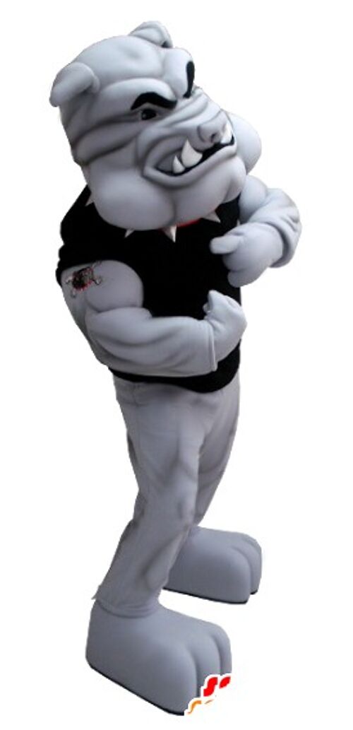 Costume de mascotte personnalisable de bulldog gris, très musclé.