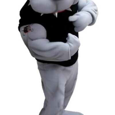 Costume de mascotte personnalisable de bulldog gris, très musclé.