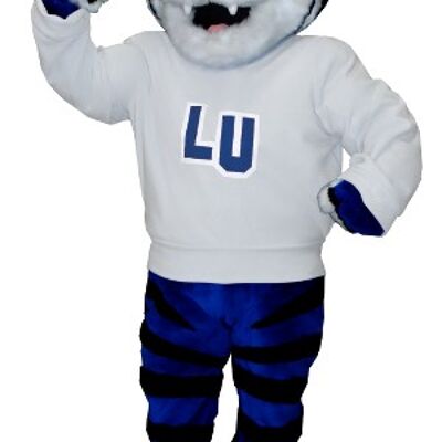 Costume de mascotte personnalisable de tigre bleu, blanc et noir avec un pull blanc.