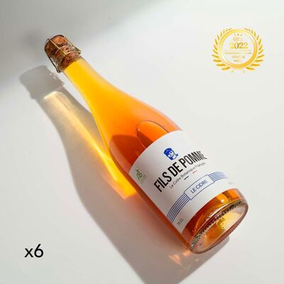 Bio-Brut-Apfelwein – 75 cl