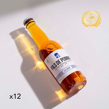 Cidre Brut Bio - 33cl 1