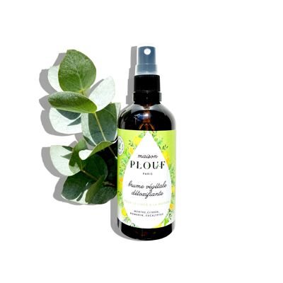 PURIFYING LINEN EAU - Detoxifying Plant Mist 100ml