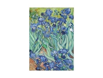 Torchon, van Gogh, Iris 3