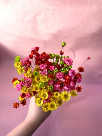 Fleurs Glixia - Fleurs étoilées | Jaune 2