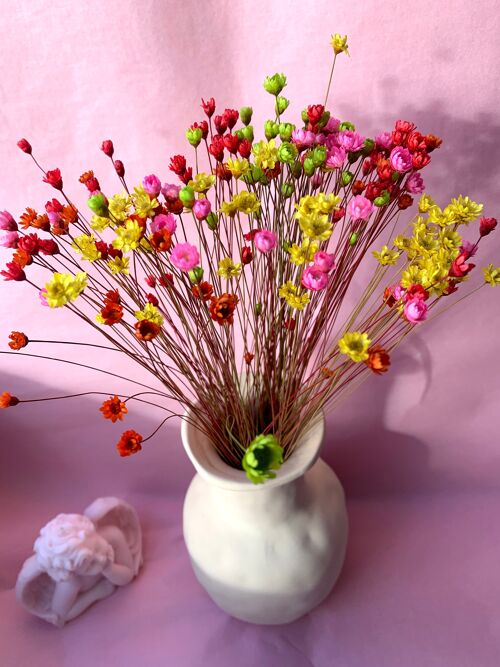 Glixia Flowers - Star Flowers | Pink
