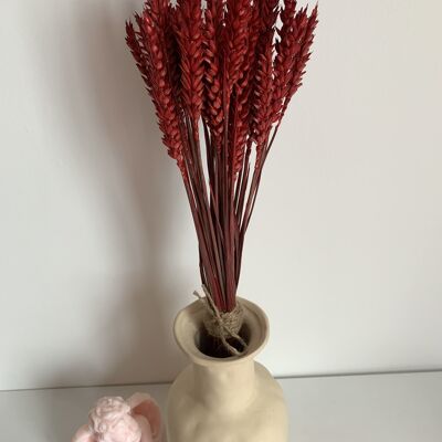 Bouquet de blé rouge/triticum