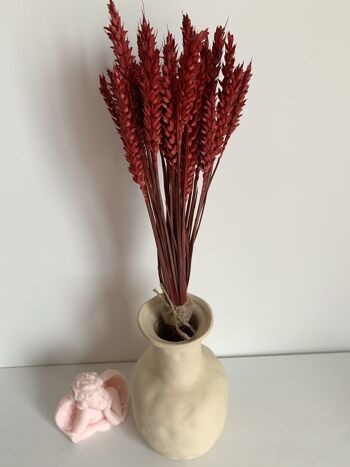 Bouquet de blé rouge/triticum 1