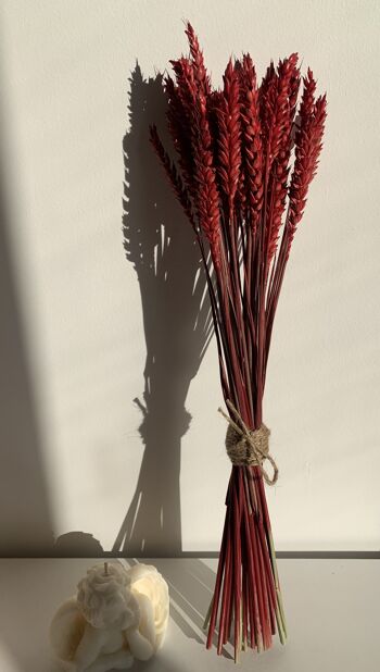 Bouquet de blé rouge/triticum 2