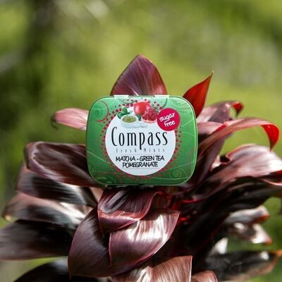 Compass Mints - Matcha-Green Tea Pomegranate 120 x 14g