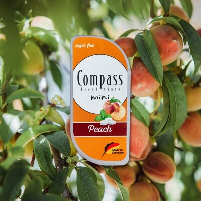 Breath freshener pastilles – Compass mini – Peach 7g - Sugar free
