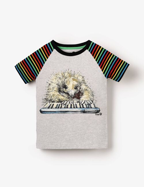 Organic Raglan Tee - Echidna Pianist