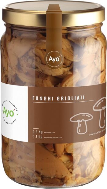 Champignons pleurotus ostreatus HO.RE.CA