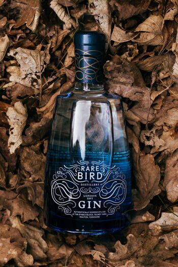 Rare Bird London Dry Gin 2