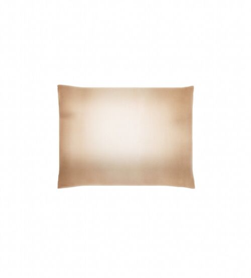 Silk Pillowcase 50x 60- gold