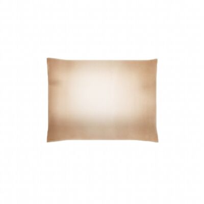 Silk Pillowcase 50x 60- gold