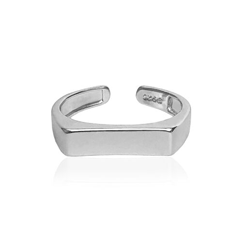 Rani ring silver