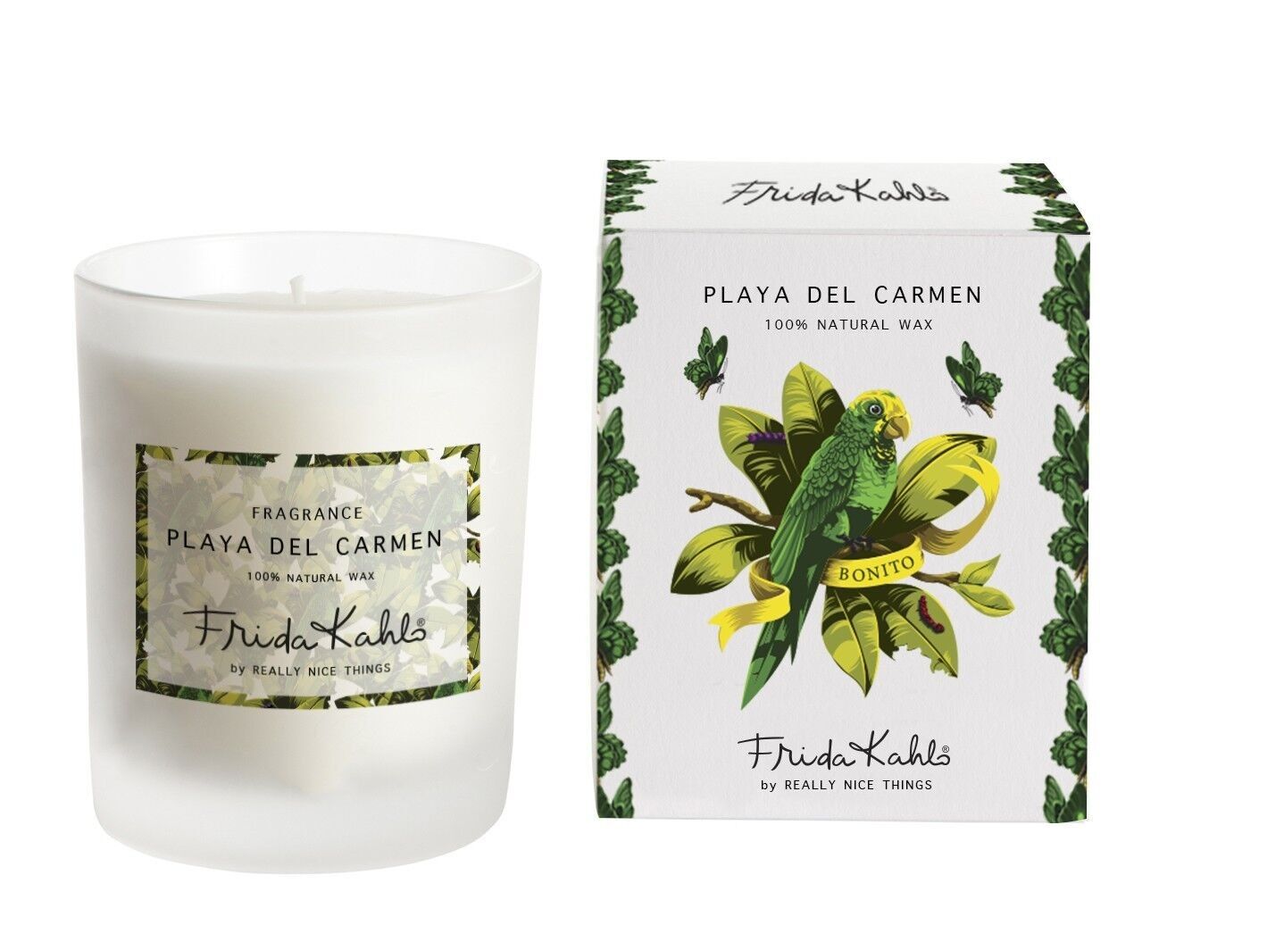 Candela aromatica (Playa del Carmen)