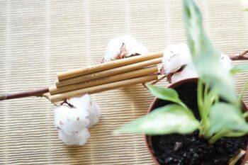 Paille courte réutilisable en bambou 2