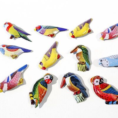Pins birds, old display of 12, Made in Japan