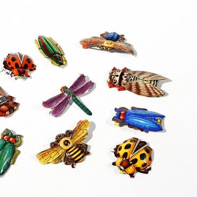 Pin Insects 12 display Made in Japan